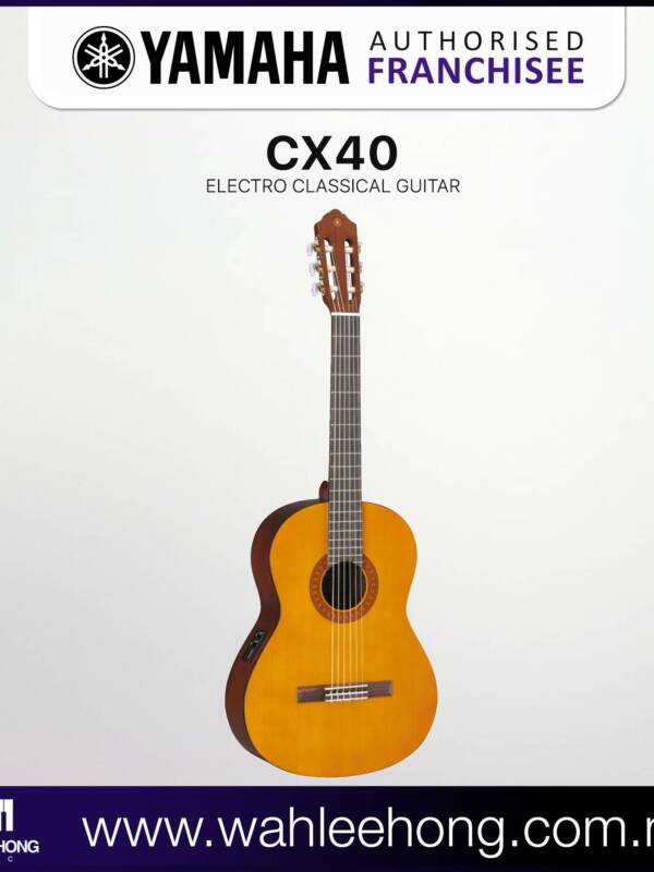 Electro-Classical Guitar - Body Shape : Yamaha CG Shape