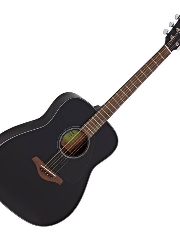 Acoustic Guitar - Body Shape : Traditional Western - Black