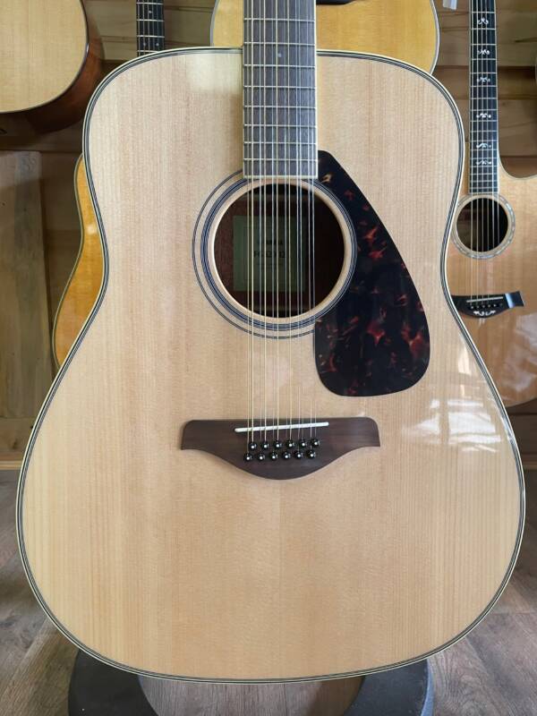 12-String Acoustic Guitar - 20 Frets - Natural