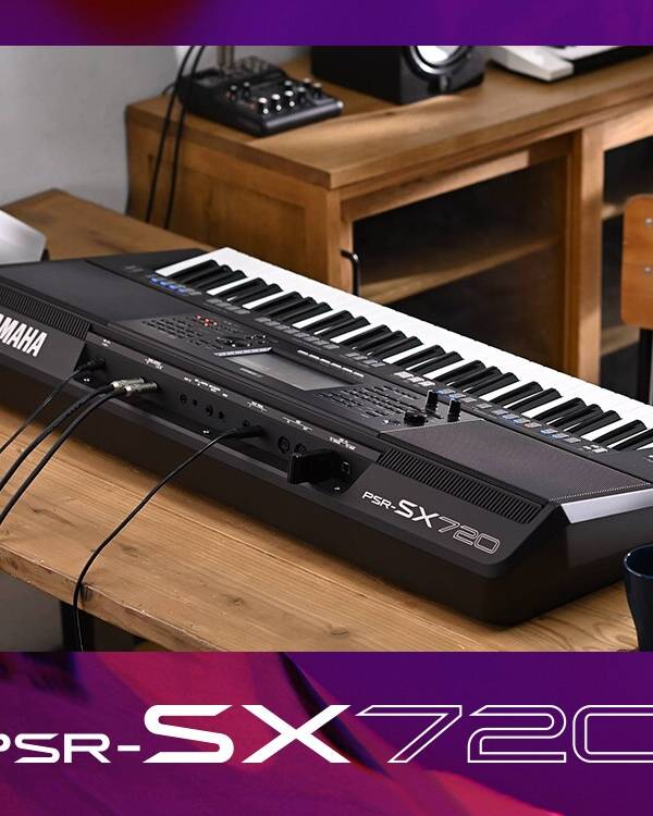 61-Key Arranger, Multiple Styles and Voices, Expansion Manager