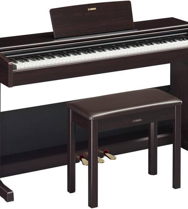 Digital Piano for Beginners and Intermediate Players - Rosewood