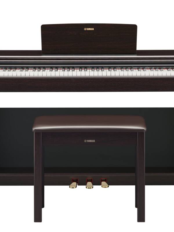 Digital Piano for Beginners and Intermediate Players - Rosewood