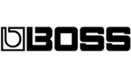 boss